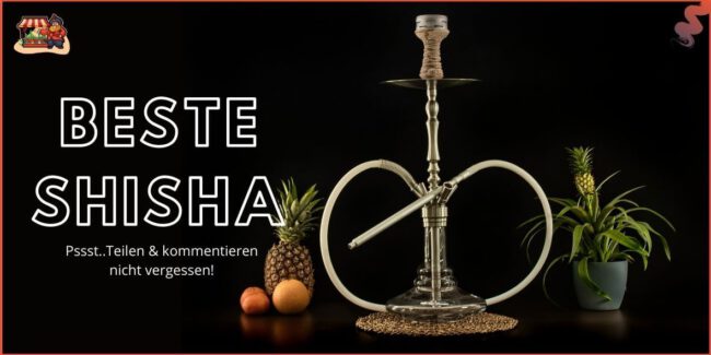 Beste Shisha | Foto von Stefan Reuss Beste Shisha im Test