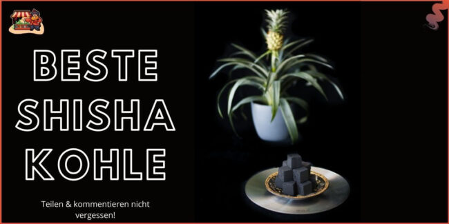 Beste Shisha Kohle Beste Shisha Kohle