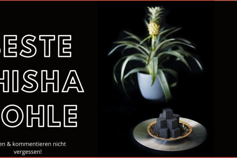 Beste Shisha Kohle